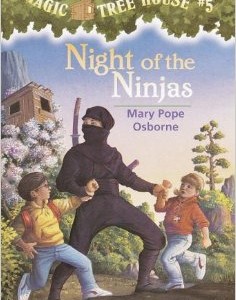 Night of the Ninjas