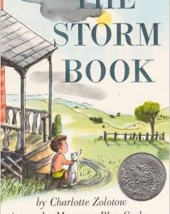 The Storm Book