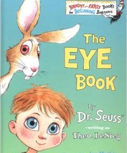 The Eye Book