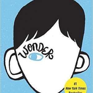 41ZC4ElC6wL._SX330_BO1,204,203,200_