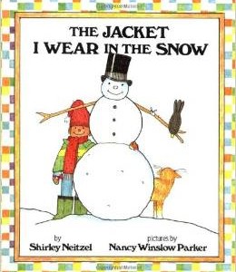 The Jacket I Wear in the Snow